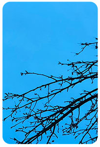 Super Mirror Blue (RDS-#10BL)